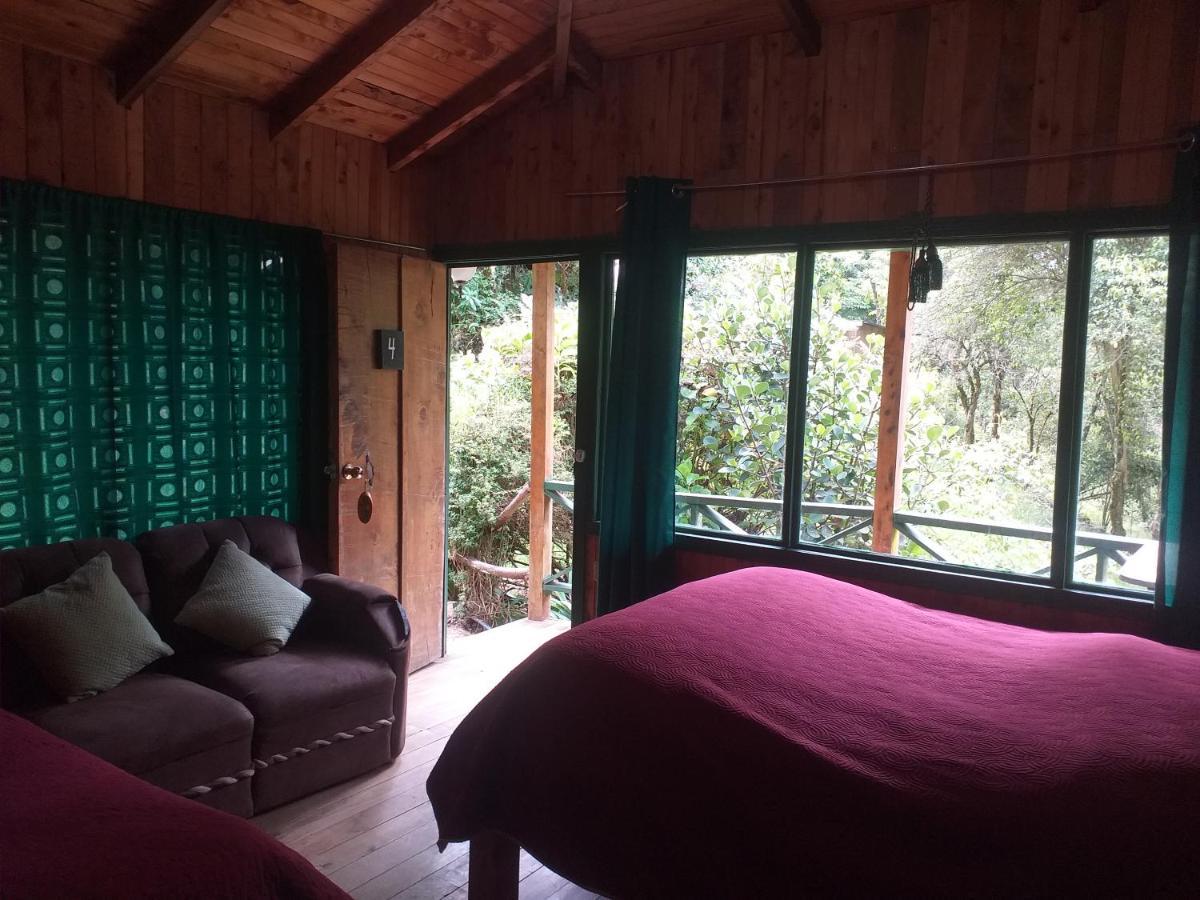 Las Cataratas Lodge San Gerardo de Dota Rum bild
